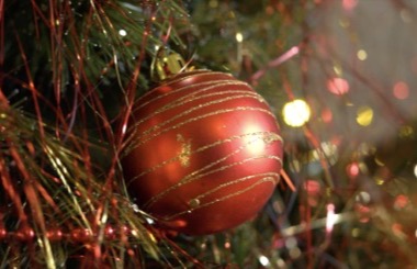 Five Lessons of Christmas